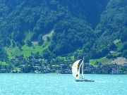 719  Lake Lucerne.JPG